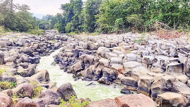 Suối Đá Đĩa làng Vân trước đây bị che khuất bởi cây cối rậm rạp, bãi đá chưa lộ thiên do bị nước ngập.