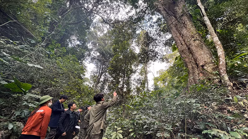 Kiểm lâm và người dân tuần rừng ở Khu bảo tồn thiên nhiên Kim Hỷ (Bắc Kạn).