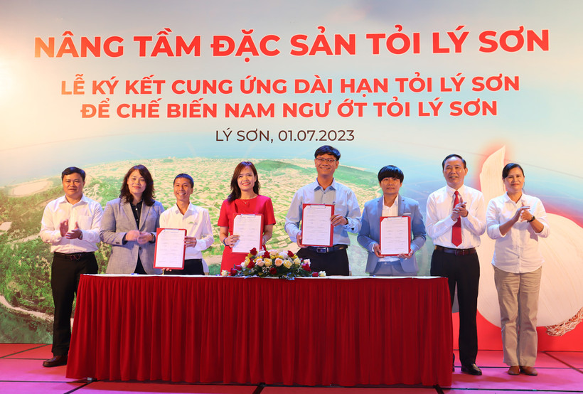 Việc ký kết cung ứng dài hạn tỏi Lý Sơn để chế biến Nam Ngư ớt tỏi Lý Sơn sẽ góp phần nâng tầm đặc sản tỏi Lý Sơn trở thành thương hiệu tỏi quốc gia. 