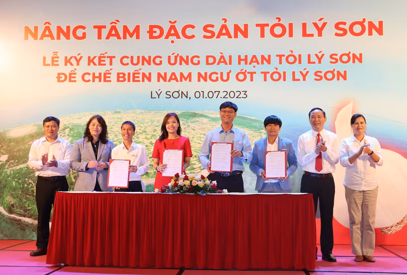 Việc ký kết cung ứng dài hạn tỏi Lý Sơn để chế biến Nam Ngư ớt tỏi Lý Sơn sẽ góp phần nâng tầm đặc sản tỏi Lý Sơn trở thành thương hiệu tỏi quốc gia. 