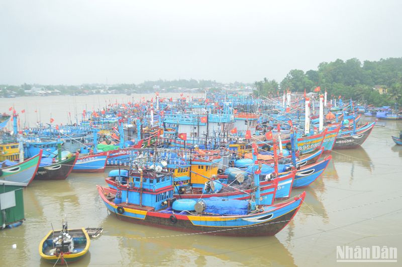 Quảng Ngãi yêu cầu triển khai các biện pháp ứng phó áp thấp và mưa lớn. 