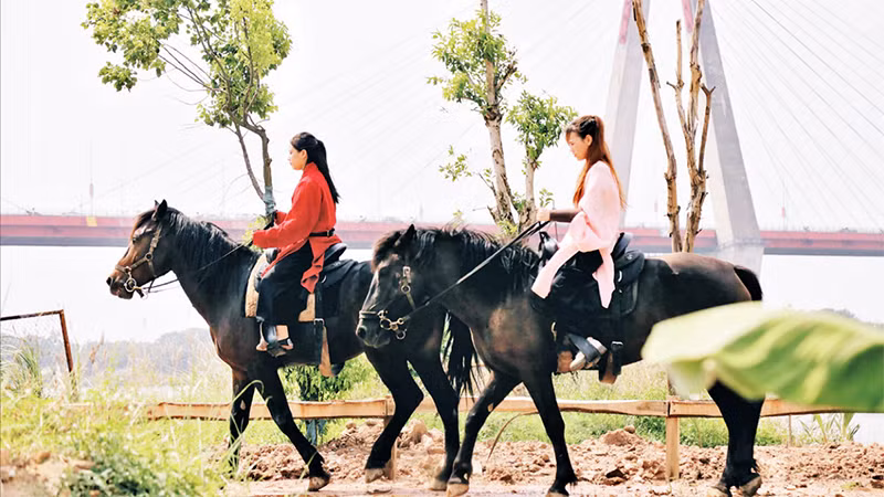 Cưỡi ngựa đang là hoạt động trải nghiệm được nhiều người ưa thích.