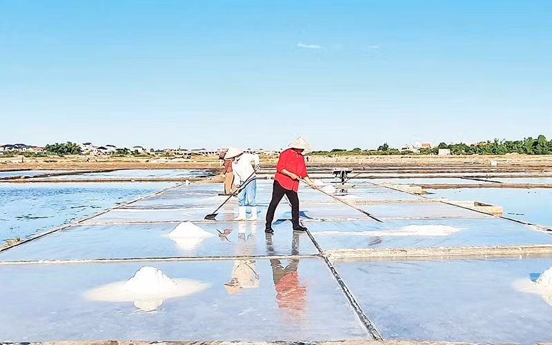 Diêm dân Phú Lộc, xã Quảng Phú, huyện Quảng Trạch (Quảng Bình) cần mẫn sản xuất muối. Ảnh: Hoàng Phương