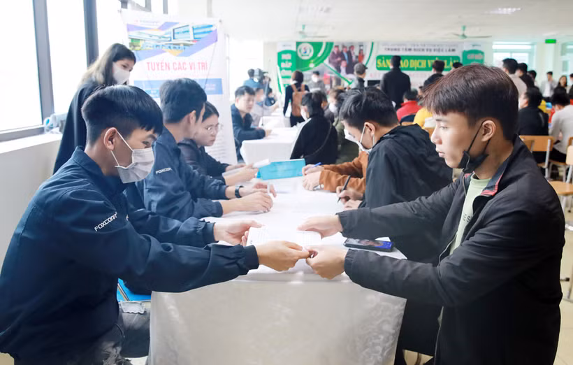 Phiên giao dịch việc làm thu hút hơn 500 lao động trực tiếp tham gia tìm việc làm.