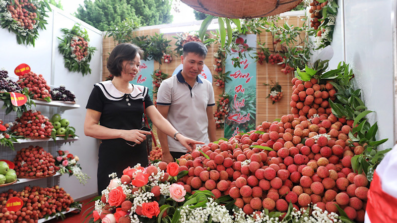 Gian trưng bày vải thiều chính vụ tại sự kiện.