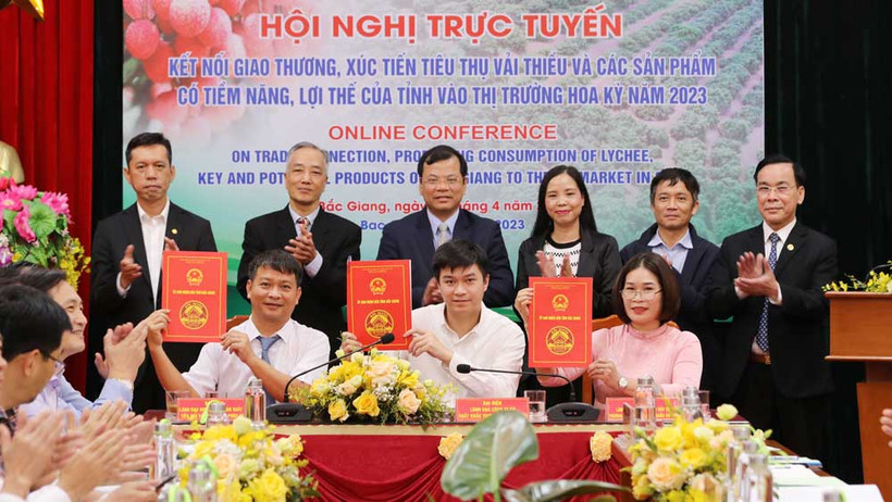 Các đại biểu ký kết xuất khẩu vải thiều sang Mỹ tại điểm cầu Bắc Giang.