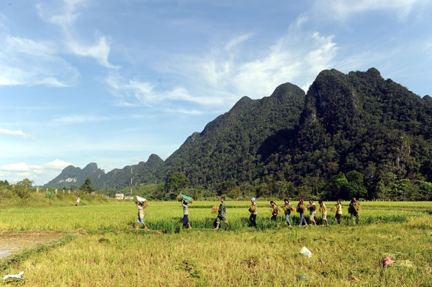 Trên cánh đồng Rục Làn. Ảnh: Hương Giang