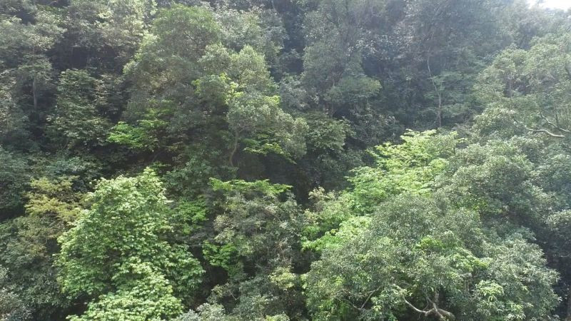 Thị trường carbon cho phép doanh nghiệp mua bán tín chỉ carbon để bù đắp phát thải khí nhà kính, thúc đẩy sản xuất xanh và bền vững.