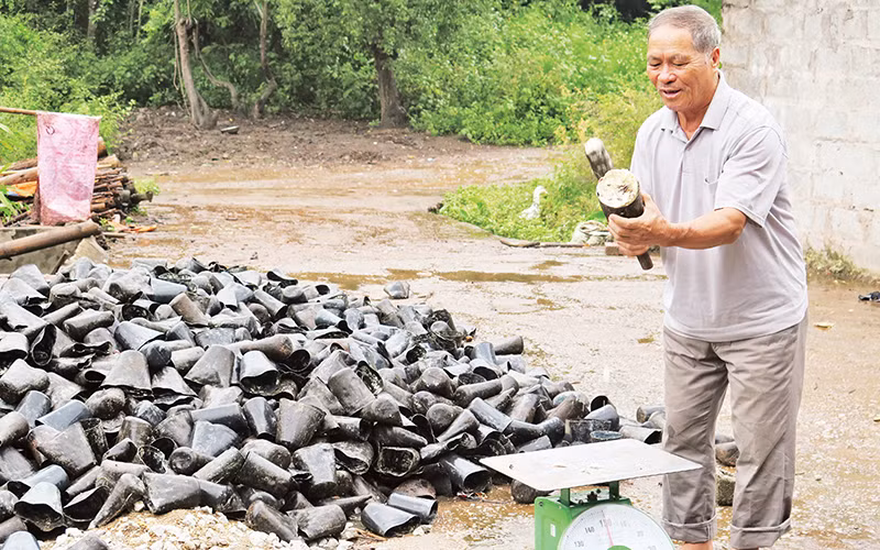 Ông Kỳ Dùng Phú ở thôn Bản Mạ, Bắc Xa, Đình Lập (Lạng Sơn) kiểm tra chất lượng nhựa thông trước khi đem bán.