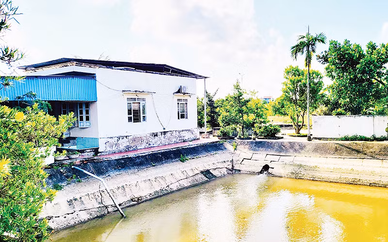 Nhà máy nước Đông Phương (huyện Kiến Thụy) không bảo đảm chất lượng nước sạch cung ứng, gây bức xúc cho người dân sẽ phải thay thế.