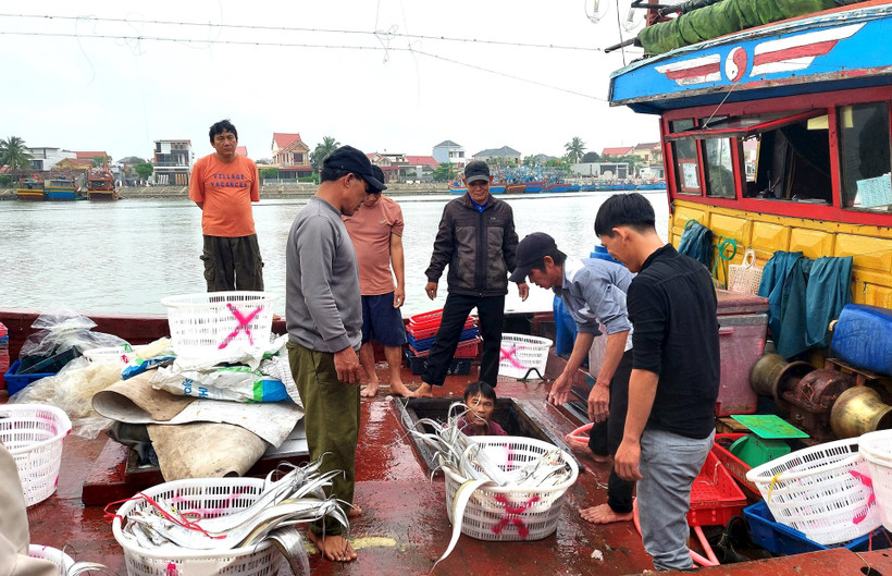 Cần nhiều biện pháp thiết thực hỗ trợ ngư dân. Ảnh: HƯƠNG GIANG