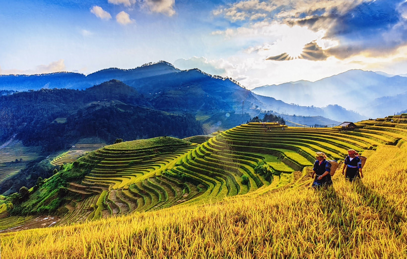 Rừng và ruộng bậc thang - nền tảng để Mù Cang Chải trở thành thiên đường du lịch Tây Bắc. Ảnh: Vũ Chiến