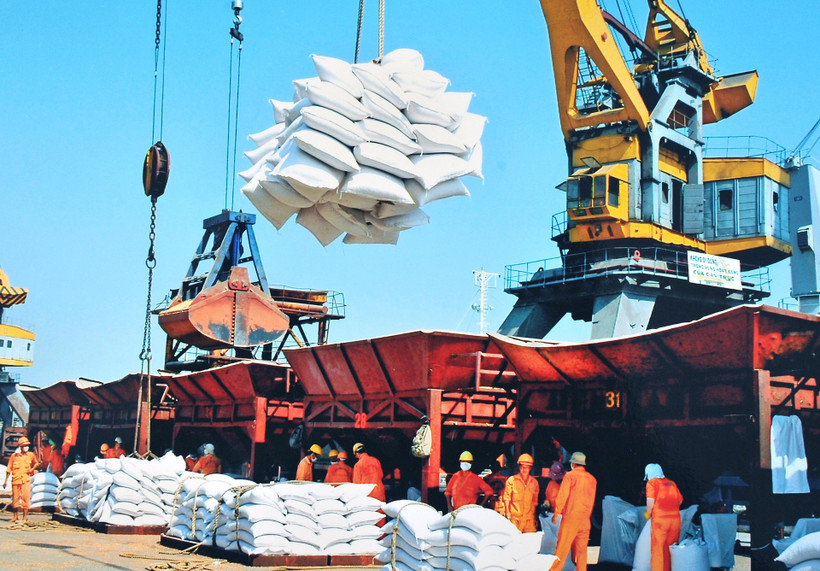 Xuất khẩu tiếp tục là điểm sáng trong bức tranh thương mại của Việt Nam 11 tháng vừa qua. Ảnh: Hải Nam