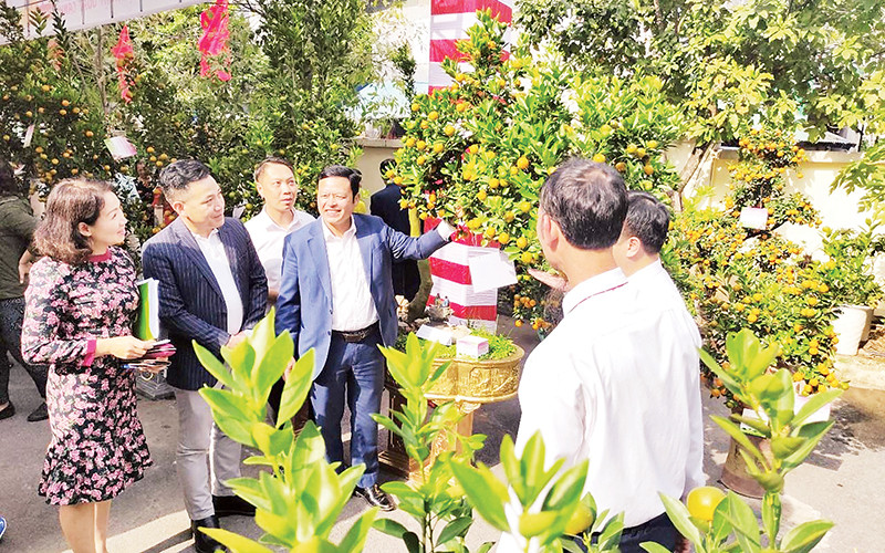 Ban Giám khảo trao đổi, thảo luận để tìm ra những tác phẩm xuất sắc trong Hội thi quất cảnh truyền thống Hà Nội 2024.