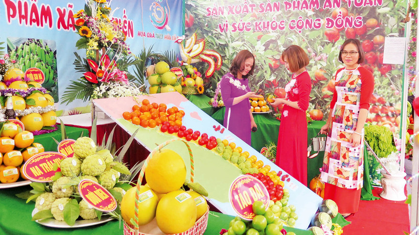 Nhiều hộ nông dân ở huyện Hữu Lũng đem sản phẩm đến tham dự trưng bày quảng cáo tại các lễ hội cây ăn quả của huyện và tỉnh. 