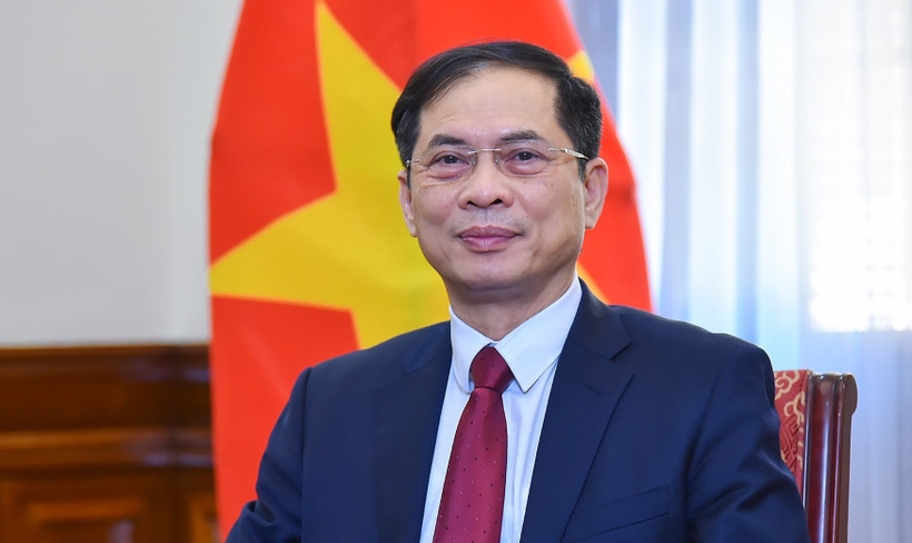 Phó Thủ tướng, Bộ trưởng Ngoại giao Bùi Thanh Sơn. (Ảnh: chinhphu.vn)