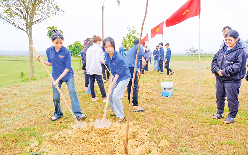 Đoàn viên, thanh niên tỉnh Quảng Trị trồng cây xanh tại thôn Nhật Lệ, xã Cam Thủy, huyện Cam Lộ. (Ảnh TRẦN TUYỀN)