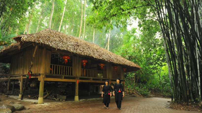 Khu bảo tồn làng nhà sàn dân tộc sinh thái Thái Hải là ngôi làng đầu tiên ở Việt Nam nhận giải thưởng "Làng du lịch tốt nhất" năm 2022. (Ảnh: TTXVN) 