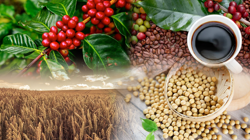 Xu hướng suy yếu bao trùm giá hàng hóa nguyên liệu