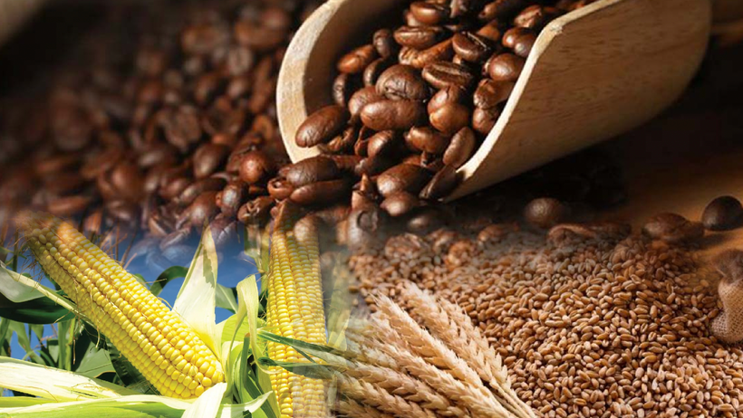 Dòng tiền đầu tư đến thị trường gia tăng, giá hàng hóa giảm mạnh