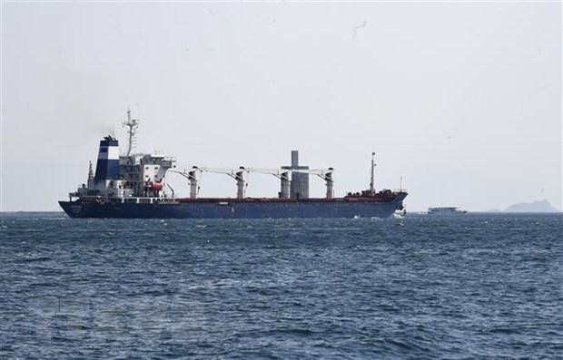 Tàu chở ngũ cốc của Ukraine đi qua Eo biển Bosphorus ở Istanbul, Thổ Nhĩ Kỳ. (Ảnh: THX/TTXVN)