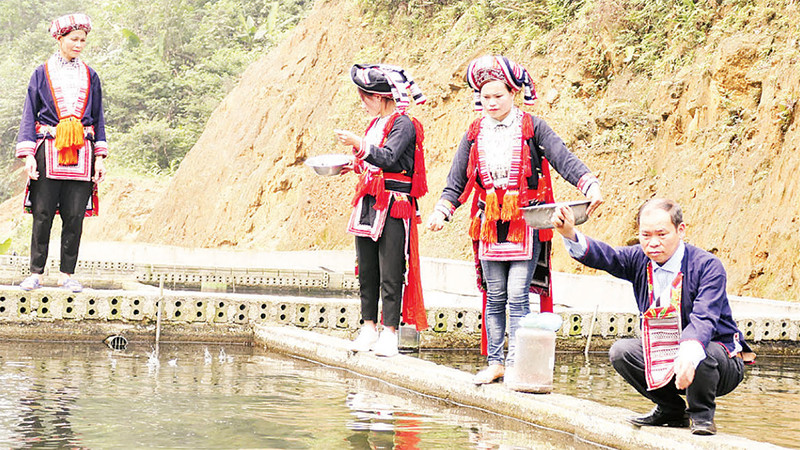 Ông Triệu Chàn Loàng, người đầu tiên đưa cá tầm về nuôi ở thôn Nậm An, xã Tân Thành, huyện Bắc Quang (Hà Giang).