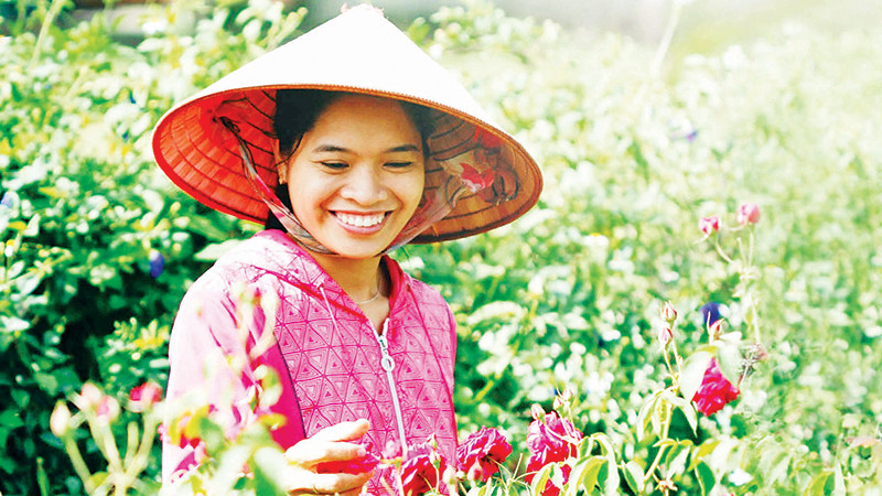Chị Triệu Thị Loan trong vườn nguyên liệu hoa hồng của The Seed Garden.