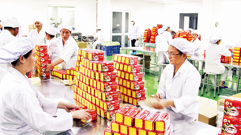 Đóng gói trà tại Nhà máy sản xuất trà của Ladophar tại Khu công nghiệp Phú Hội.