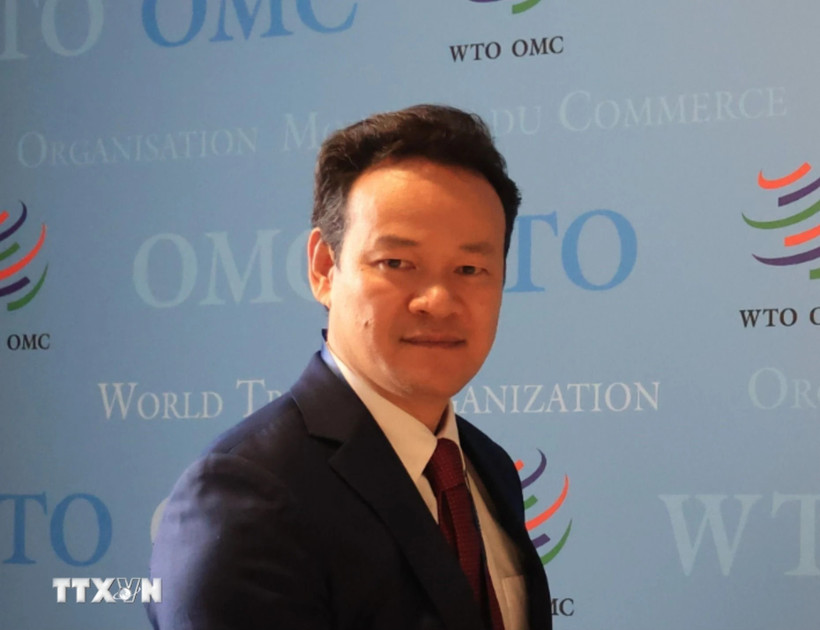 Đại sứ Mai Phan Dũng. (Ảnh: Anh Hiển/TTXVN)