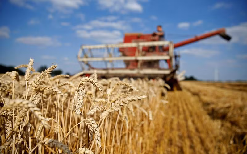 Ảnh minh họa. Nguồn: Reuters