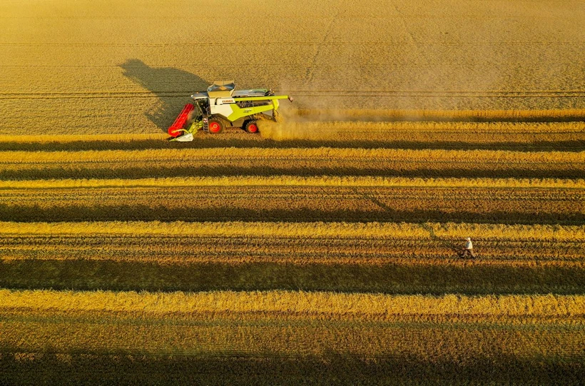 Ảnh minh họa. Nguồn: Reuters