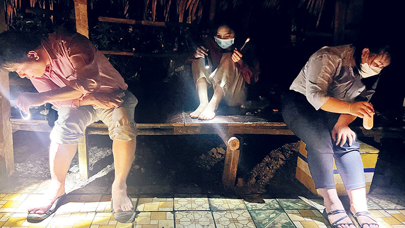 Các nhân viên y tế đưa đôi chân trần làm mồi “câu” muỗi.