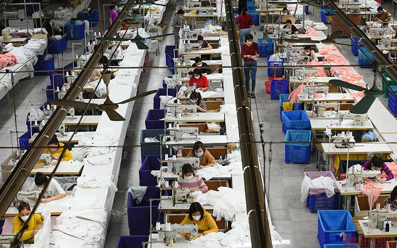 Ảnh: THÀNH ĐẠT