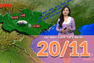 [Video] Dự báo thời tiết ngày 20/11/2025: Nền nhiệt miền Bắc ở ngưỡng rét, vùng núi rét đậm 