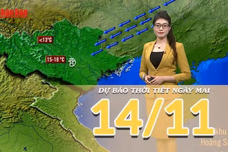 [Video] Dự báo thời tiết đêm nay và ngày mai 14/11/2025: Miền Bắc nằm sâu trong khối khí lục địa lạnh và khô