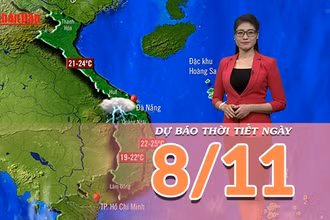 [Video] Dự báo thời tiết ngày 8/11/2025: Mưa trên hầu khắp các khu vực
