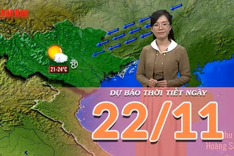 [Video] Dự báo thời tiết ngày 22/11/2025: Bắc Bộ thời tiết hanh khô