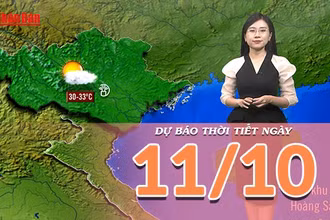 [Video] Dự báo thời tiết ngày 11/10/2025: Bắc Bộ nắng ráo, Trung Bộ và Nam Bộ có mưa dông