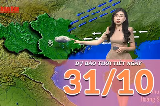 [Video] Dự báo thời tiết ngày 31/10/2025: Đông Bắc Bộ có mưa trên diện rộng