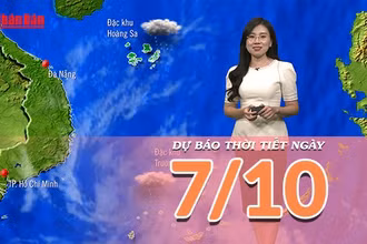 [Video] Dự báo thời tiết ngày 7/10/2025: Mưa lớn ở vùng núi và trung du Bắc Bộ