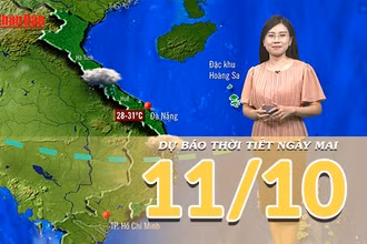[Video] Dự báo thời tiết đêm nay và ngày mai 11/10/2025: Mưa tiếp diễn ở phần lớn của khu vực Trung Bộ 