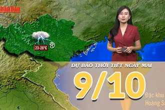 [Video] Dự báo thời tiết đêm nay và ngày mai 9/10/2025: Mưa chỉ còn chủ yếu về đêm