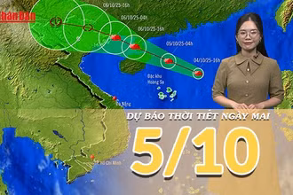 [Video] Dự báo thời tiết đêm nay và ngày mai 5/10/2025: Bão số 11 tăng cấp