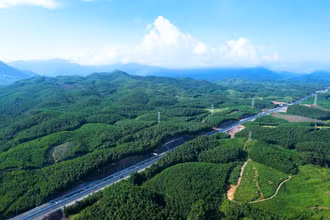 Hiện thực hóa tham vọng Net-Zero: Giải "bài toán" từ cơ chế
