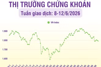 [Infographic] Thị trường chứng khoán tuần 8-12/6: Thị trường có tuần thứ tư liên tiếp giảm điểm, VN-Index về mức 1.791,65 điểm