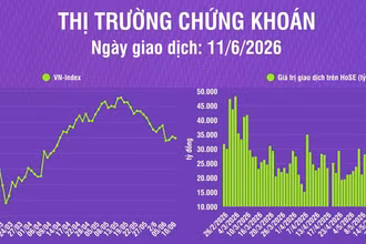 [Infographic] Chứng khoán ngày 11/6: VN-Index giảm 5,10 điểm, khối lượng giao dịch thấp