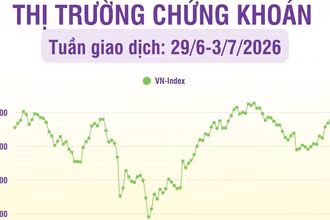 [Infographic] Thị trường chứng khoán tuần 29/6-3/7: Thanh khoản và giao dịch cùng giảm