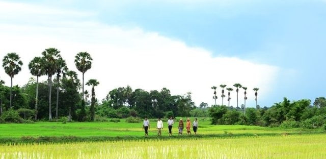 67 triệu cổ phiếu Tập đoàn Lộc Trời chuẩn bị lên sàn UPCoM