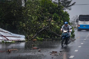 Cục Đường bộ Việt Nam yêu cầu kiên quyết tạm dừng các công trình giao thông không bảo đảm an toàn 