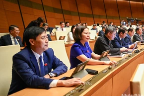 Các đại biểu Quốc hội biểu quyết thông qua Luật. (Ảnh: DUY LINH)